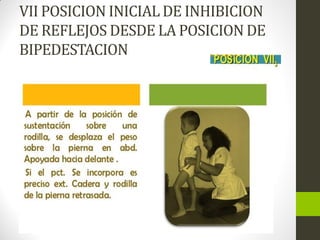 VII POSICION INICIAL DE INHIBICION
DE REFLEJOS DESDE LA POSICION DE
BIPEDESTACION
 
