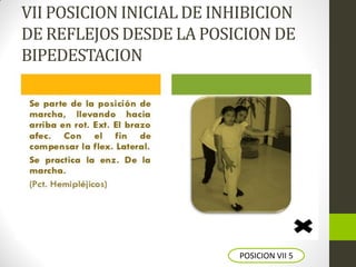 VII POSICION INICIAL DE INHIBICION
DE REFLEJOS DESDE LA POSICION DE
BIPEDESTACION
POSICION VII 5
 