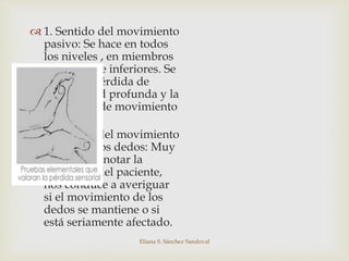  1. Sentido del movimiento
pasivo: Se hace en todos
los niveles , en miembros
superiores e inferiores. Se
evalúa la pérdida de
sensibilidad profunda y la
capacidad de movimiento
voluntario.
 2. Sentido del movimiento
pasivo de los dedos: Muy
útil para denotar la
evolución del paciente,
nos conduce a averiguar
si el movimiento de los
dedos se mantiene o si
está seriamente afectado.
Eliana S. Sánchez Sandoval
 