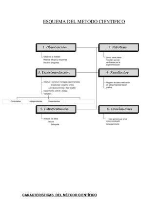 ESQUEMA DEL METODO CIENTIFICO




                                  1. Observación                                  2. Hipótesis


                                  Observar la realidad                          Una o varias ideas
                                  Realizar dibujos y esquemas                   Tendrán que ser
                                  Hacerse preguntas                             verificadas por la
                                                                                experimentación



                          3. Experimentación                                    4. Resultados


                                  Diseñar y construir montajes experimentales   Registro de datos realización
                                           Creatividad y espíritu crítico       de tablas Representación
                                        Lo más económico y fácil posible        gráfica
                                  Experimento control o testigo
                                  Variables



Controladas      Independientes         Dependientes



                            5. Interpretación                                   6. Conclusiones


                                  Analizar los datos                              Idea general que sirva
                                       Deducir                                  como conclusión
                                          Extrapolar                            del experimento




              CARACTERISTICAS DEL MÉTODO CIENTÍFICO
 