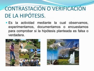 De laboratorio.