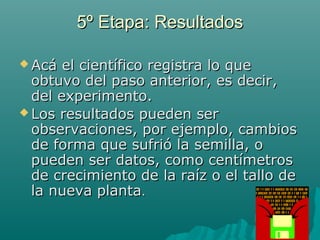5º Etapa: Resultados

 Acá  el científico registra lo que
  obtuvo del paso anterior, es decir,
  del experimento.
 Los resultados pueden ser
  observaciones, por ejemplo, cambios
  de forma que sufrió la semilla, o
  pueden ser datos, como centímetros
  de crecimiento de la raíz o el tallo de
  la nueva planta.
 