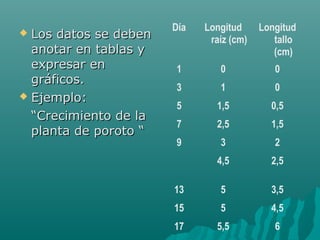 Día   Longitud     Longitud
 Los datos se deben          raíz (cm)      tallo
  anotar en tablas y                         (cm)
  expresar en          1        0            0
  gráficos.
                       3        1            0
 Ejemplo:
                       5       1,5          0,5
  “Crecimiento de la
                       7       2,5          1,5
  planta de poroto “
                       9        3            2
                               4,5          2,5

                       13       5           3,5
                       15       5           4,5
                       17      5,5           6
 
