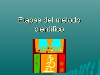 Etapas del método
    científico
 