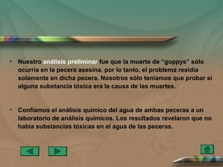 •   Nuestro análisis preliminar fue que la muerte de “guppys” sólo
    ocurría en la pecera asesina, por lo tanto, el problema residía
    solamente en dicha pecera. Nosotros sólo teníamos que probar si
    alguna substancia tóxica era la causa de las muertes.


•   Confiamos el análisis químico del agua de ambas peceras a un
    laboratorio de análisis químicos. Los resultados revelaron que no
    había substancias tóxicas en el agua de las peceras.
 