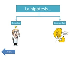 La hipótesis…
Se verifica No se verifica
ATRÁS
 