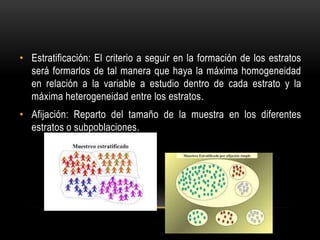 • Estratificación: El criterio a seguir en la formación de los estratos
será formarlos de tal manera que haya la máxima homogeneidad
en relación a la variable a estudio dentro de cada estrato y la
máxima heterogeneidad entre los estratos.
• Afijación: Reparto del tamaño de la muestra en los diferentes
estratos o subpoblaciones.
 