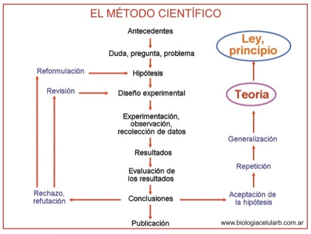 Metodo cientifico