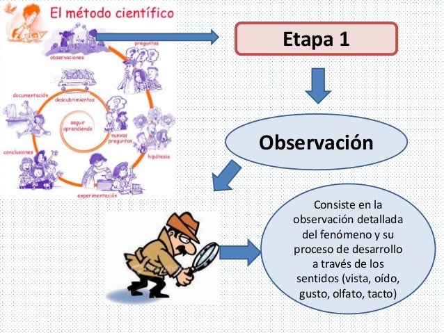 Que Es La Observación En El Método Científico www.slideshare.net
