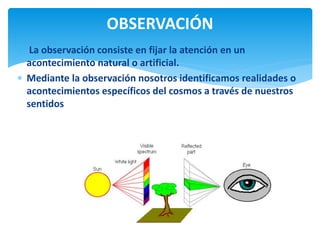  La observación consiste en fijar la atención en un
acontecimiento natural o artificial.
 Mediante la observación nosotros identificamos realidades o
acontecimientos específicos del cosmos a través de nuestros
sentidos
OBSERVACIÓN
 