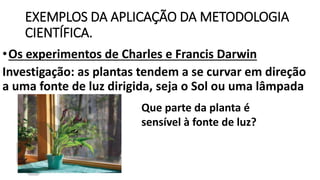 EXEMPLOS DA APLICAÇÃO DA METODOLOGIA
CIENTÍFICA.
•Os experimentos de Charles e Francis Darwin
Investigação: as plantas tendem a se curvar em direção
a uma fonte de luz dirigida, seja o Sol ou uma lâmpada
Que parte da planta é
sensível à fonte de luz?
 