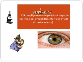 1 –    
  VER inteligentemente (señalar campo de
observación, ordenadamente y con ayuda
de instrumentos) 
 