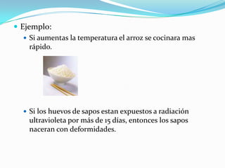  Ejemplo:
    Si aumentas la temperatura el arroz se cocinara mas
     rápido.




   Si los huevos de sapos estan expuestos a radiación
    ultravioleta por más de 15 días, entonces los sapos
    naceran con deformidades.
 