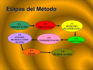 Etapas del Método   # 1 OBSERVACIÓN # 2 PREGUNTA # 4 HIPÓTESIS # 3 BÚSQUEDA DE LITERATURA # 5 EXPERIMENTACIÓN # 7 TESIS # 6 ANÁLISIS  DE RESULTADOS (DATOS) # 8 PUBLICACIÓN 