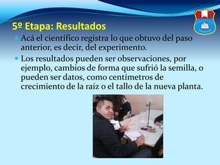 5º Etapa: Resultados
 Acá el científico registra lo que obtuvo del paso
anterior, es decir, del experimento.
 Los resultados pueden ser observaciones, por
ejemplo, cambios de forma que sufrió la semilla, o
pueden ser datos, como centímetros de
crecimiento de la raíz o el tallo de la nueva planta.
 