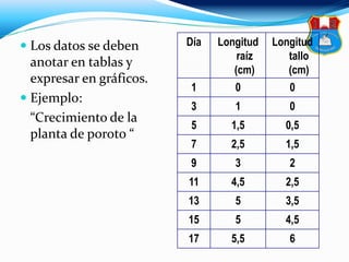  Los datos se deben
anotar en tablas y
expresar en gráficos.
 Ejemplo:
“Crecimiento de la
planta de poroto “
Día Longitud
raíz
(cm)
Longitud
tallo
(cm)
1 0 0
3 1 0
5 1,5 0,5
7 2,5 1,5
9 3 2
11 4,5 2,5
13 5 3,5
15 5 4,5
17 5,5 6
 
