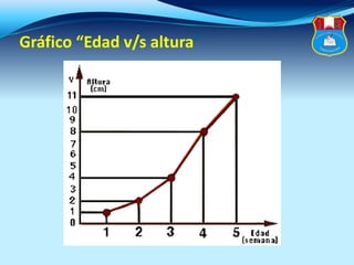 Gráfico “Edad v/s altura”
 