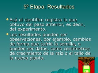 5º Etapa: Resultados
5º Etapa: Resultados
 Acá el científico registra lo que
Acá el científico registra lo que
obtuvo del paso anterior, es decir
obtuvo del paso anterior, es decir,
,
del experimento.
del experimento.
 Los resultados pueden ser
Los resultados pueden ser
observaciones, por ejemplo, cambios
observaciones, por ejemplo, cambios
de forma que sufrió la semilla, o
de forma que sufrió la semilla, o
pueden ser datos, como centímetros
pueden ser datos, como centímetros
de crecimiento de la raíz o el tallo de
de crecimiento de la raíz o el tallo de
la nueva planta
la nueva planta.
.
 