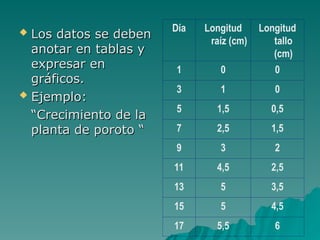  Los datos se deben
Los datos se deben
anotar en tablas y
anotar en tablas y
expresar en
expresar en
gráficos.
gráficos.
 Ejemplo:
Ejemplo:
“
“Crecimiento de la
Crecimiento de la
planta de poroto “
planta de poroto “
Día Longitud
raíz (cm)
Longitud
tallo
(cm)
1 0 0
3 1 0
5 1,5 0,5
7 2,5 1,5
9 3 2
11 4,5 2,5
13 5 3,5
15 5 4,5
17 5,5 6
 