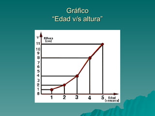Gráfico
Gráfico
“Edad v/s altura”
“Edad v/s altura”
 