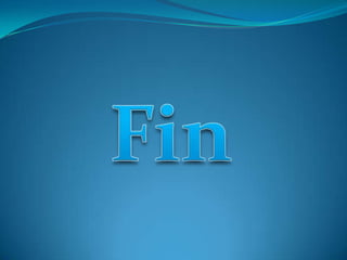 Fin