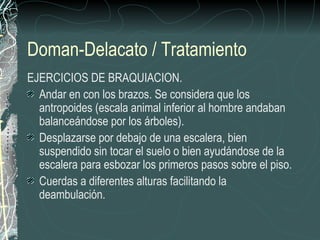 Doman-Delacato / Tratamiento
EJERCICIOS DE BRAQUIACION.
  Andar en con los brazos. Se considera que los
  antropoides (escala animal inferior al hombre andaban
  balanceándose por los árboles).
  Desplazarse por debajo de una escalera, bien
  suspendido sin tocar el suelo o bien ayudándose de la
  escalera para esbozar los primeros pasos sobre el piso.
  Cuerdas a diferentes alturas facilitando la
  deambulación.
 