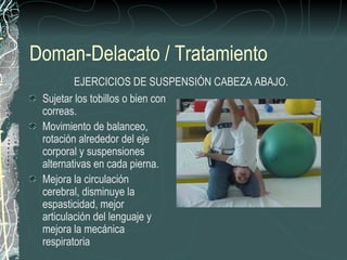 Doman-Delacato / Tratamiento
         EJERCICIOS DE SUSPENSIÓN CABEZA ABAJO.
 Sujetar los tobillos o bien con
 correas.
 Movimiento de balanceo,
 rotación alrededor del eje
 corporal y suspensiones
 alternativas en cada pierna.
 Mejora la circulación
 cerebral, disminuye la
 espasticidad, mejor
 articulación del lenguaje y
 mejora la mecánica
 respiratoria
 