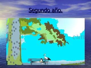 Segundo año. 