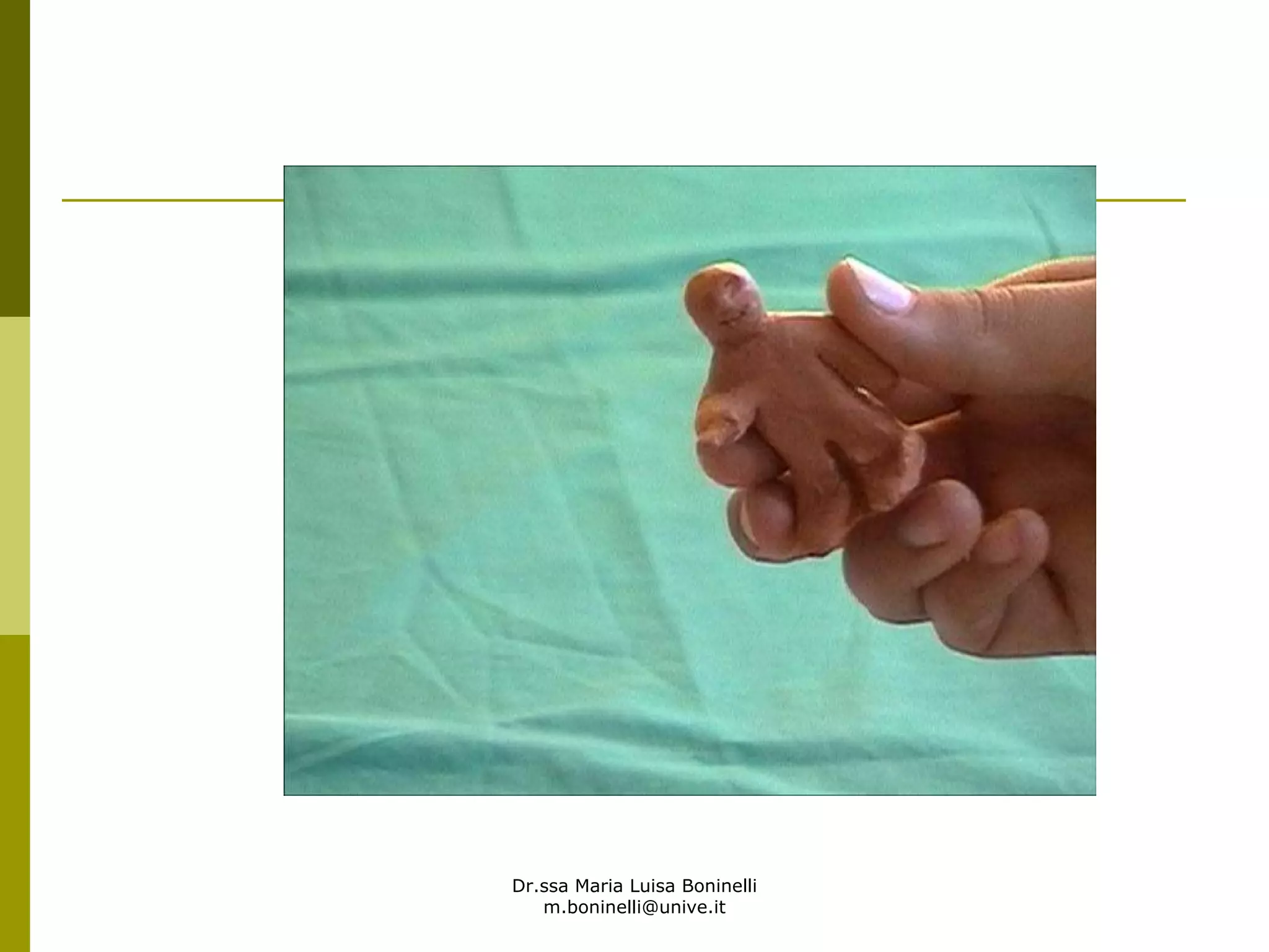 Dr.ssa Maria Luisa Boninelli
m.boninelli@unive.it
 