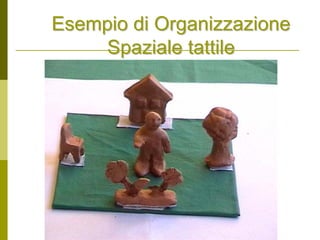 Dr.ssa Maria Luisa Boninelli
m.boninelli@unive.it
Esempio di OrganizzazioneEsempio di Organizzazione
Spaziale tattileSpaziale tattile
 