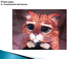 Primer paso A.- Presentación del fonema    