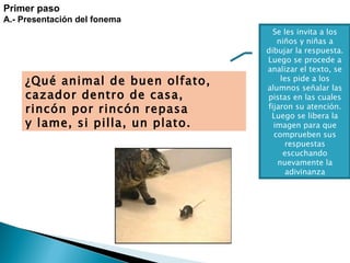 ¿Qué animal de buen olfato, cazador dentro de casa, rincón por rincón repasa y lame, si pilla, un plato. Primer paso A.- Presentación del fonema    Se les invita a los niños y niñas a dibujar la respuesta. Luego se procede a analizar el texto, se les pide a los alumnos señalar las pistas en las cuales fijaron su atención. Luego se libera la imagen para que comprueben sus respuestas escuchando nuevamente la adivinanza 
