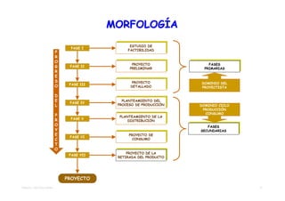 MORFOLOGÍA
                                               ESTUDIO DE
                                               ESTUDIO DE
                               FASE I         FACTIBILIDAD
                                              FACTIBILIDAD
                         P
                         R
                         O                        PROYECTO              FASES
                                                 PROYECTO               FASES
                         G    FASE II           PRELIMINAR
                                               PRELIMINAR             PRIMARIAS
                                                                     PRIMARIAS
                         R
                         E
                         S                       PROYECTO
                                                PROYECTO           DOMINIO DEL
                              FASE III
                         O                     DETALLADO
                                               DETALLADO           PROYECTISTA

                         D
                         E                    PLANTEAMIENTO DEL
                                             PLANTEAMIENTO DEL
                              FASE IV
                         L                PROCESO DE PRODUCCIÓN
                                           PROCESO DE PRODUCCIÓN
                                                                   DOMINIO CICLO
                                                                    PRODUCCIÓN
                                                                     CONSUMO
                         P                 PLANTEAMIENTO DE LA
                                          PLANTEAMIENTO DE LA
                         R    FASE V           DISTRIBUCIÓN
                                              DISTRIBUCIÓN
                         O                                             FASES
                                                                      FASES
                         Y                                         SECUNDARIAS
                                                                   SECUNDARIAS
                         E                      PROYECTO DE
                                               PROYECTO DE
                              FASE VI             CONSUMO
                         C                       CONSUMO
                         T
                         O
                                               PROYECTO DE LA
                                              PROYECTO DE LA
                              FASE VII
                                          RETIRADA DEL PRODUCTO
                                          RETIRADA DEL PRODUCTO




                             PROYECTO
TEMA 03 - METODOLOGÍAS                                                             7
 