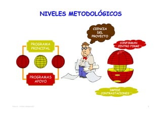 NIVELES METODOLÓGICOS

                                             CIENCIA
                                               DEL
                                            PROYECTO

                                                          CONFIRMAN
                       PROGRAMA                          CENTRO FIRME
                       PRINCIPAL




                      PROGRAMAS
                        APOYO

                                                     IMPIDE
                                                CONTRASTACIONES



TEMA 04 – TEORÍA DIMENSIONES                                            5
 