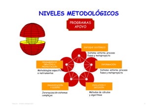 NIVELES METODOLÓGICOS
                                                             PROGRAMAS
                                                               APOYO




                                                                   ENFOQUE SISTÉMICO

                                                                     Sistema: entorno, proceso
                                                                     fases y metaproyecto

                                   PENSAMIENTO
                                     CREATIVO Y                                  INFORMACIÓN
                                   PROYECTACIÓN

                               Metodologías específicas                         Sistema: entorno, proceso
                               e instrumentos                                   fases y metaproyecto




                                       ORGANIZACIÓN                      EVOLUCIÓN Y
                                         Y DISEÑO                         DECISIÓN

                                   Jerarquización sistemas             Métodos de cálculos
                                   complejos                           y algoritmos


TEMA 04 – TEORÍA DIMENSIONES                                                                                7
 