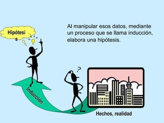 Hipótesi
s
Hechos, realidad
Al manipular esos datos, mediante
un proceso que se llama inducción,
elabora una hipótesis.
 