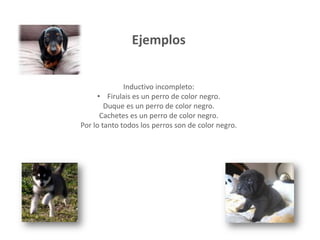 Ejemplos
Inductivo incompleto:
• Firulais es un perro de color negro.
Duque es un perro de color negro.
Cachetes es un perro de color negro.
Por lo tanto todos los perros son de color negro.
 