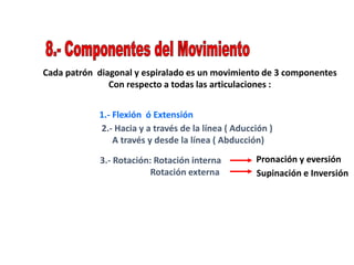 Cada patrón diagonal y espiralado es un movimiento de 3 componentes
Con respecto a todas las articulaciones :
1.- Flexión ó Extensión
2.- Hacia y a través de la línea ( Aducción )
A través y desde la línea ( Abducción)
3.- Rotación: Rotación interna
Rotación externa
Pronación y eversión
Supinación e Inversión
 