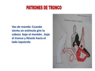 Voz de mando: Cuando
sienta un estímulo gire la
cabeza baje el mentón , baje
el tronco y llévelo hacia el
lado izquierdo
 