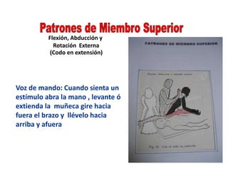 Flexión, Abducción y
Rotación Externa
(Codo en extensión)
Voz de mando: Cuando sienta un
estímulo abra la mano , levante ó
extienda la muñeca gire hacia
fuera el brazo y llévelo hacia
arriba y afuera
 