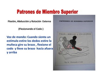 Flexión, Abducción y Rotación Externa
(Flexionando el Codo )
Voz de mando: Cuando sienta un
estímulo estire los dedos estire la
muñeca gire su brazo , flexione el
codo y lleve su brazo hacia afuera
y arriba
 