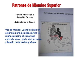 Flexión, Abducción y
Rotación Externa
(Extendiendo el Codo )
Voz de mando: Cuando sienta un
estímulo abra los dedos estire la
muñeca supine el codo vaya
extendiendo el codo gire su brazo
y llévelo hacia arriba y afuera
 