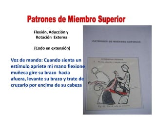 Flexión, Aducción y
Rotación Externa
(Codo en extensión)
Voz de mando: Cuando sienta un
estímulo apriete mi mano flexione
muñeca gire su brazo hacia
afuera, levante su brazo y trate de
cruzarlo por encima de su cabeza
 