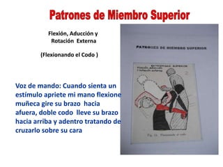 Flexión, Aducción y
Rotación Externa
(Flexionando el Codo )
Voz de mando: Cuando sienta un
estímulo apriete mi mano flexione
muñeca gire su brazo hacia
afuera, doble codo lleve su brazo
hacia arriba y adentro tratando de
cruzarlo sobre su cara
 