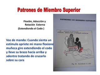 Flexión, Aducción y
Rotación Externa
(Extendiendo el Codo )
Voz de mando: Cuando sienta un
estímulo apriete mi mano flexione
muñeca gire extendiendo el codo
y lleve su brazo hacia arriba y
adentro tratando de cruzarlo
sobre su cara
 