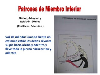 Flexión, Aducción y
Rotación Externa
(Rodilla en Extensión )
Voz de mando: Cuando sienta un
estímulo estire los dedos levante
su pie hacia arriba y adentro y
lleve toda la pierna hacia arriba y
adentro
 