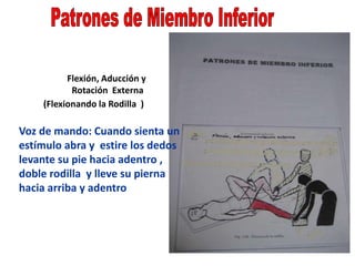 Flexión, Aducción y
Rotación Externa
(Flexionando la Rodilla )
Voz de mando: Cuando sienta un
estímulo abra y estire los dedos
levante su pie hacia adentro ,
doble rodilla y lleve su pierna
hacia arriba y adentro
 