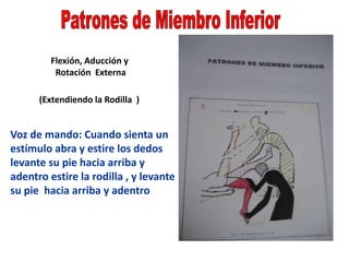 Flexión, Aducción y
Rotación Externa
(Extendiendo la Rodilla )
Voz de mando: Cuando sienta un
estímulo abra y estire los dedos
levante su pie hacia arriba y
adentro estire la rodilla , y levante
su pie hacia arriba y adentro
 