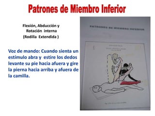 Flexión, Abducción y
Rotación interna
(Rodilla Extendida )
Voz de mando: Cuando sienta un
estímulo abra y estire los dedos
levante su pie hacia afuera y gire
la pierna hacia arriba y afuera de
la camilla.
 