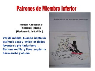Flexión, Abducción y
Rotación Interna
(Flexionando la Rodilla )
Voz de mando: Cuando sienta un
estímulo abra y estire los dedos
levante su pie hacia fuera ,
flexione rodilla y lleve su pierna
hacia arriba y afuera
 